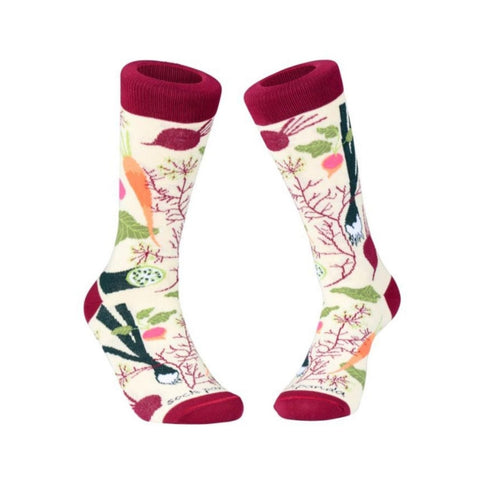 Fall Vegetable and Fruit Socks (Adult Medium) - Sock Panda