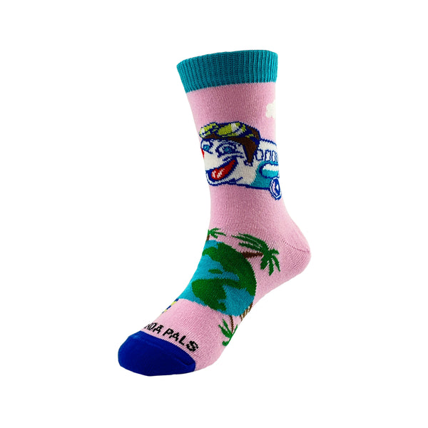Airplane Socks from the Sock Panda (Ages 3-7)