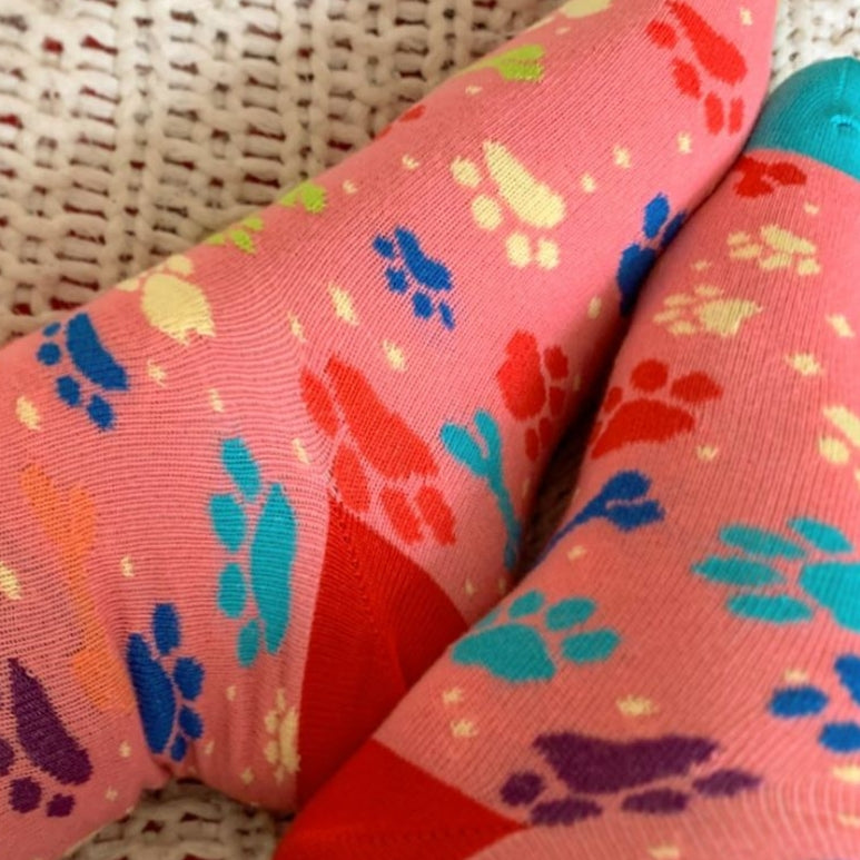 Dog Paws and Bones Patterned Socks from the Sock Panda