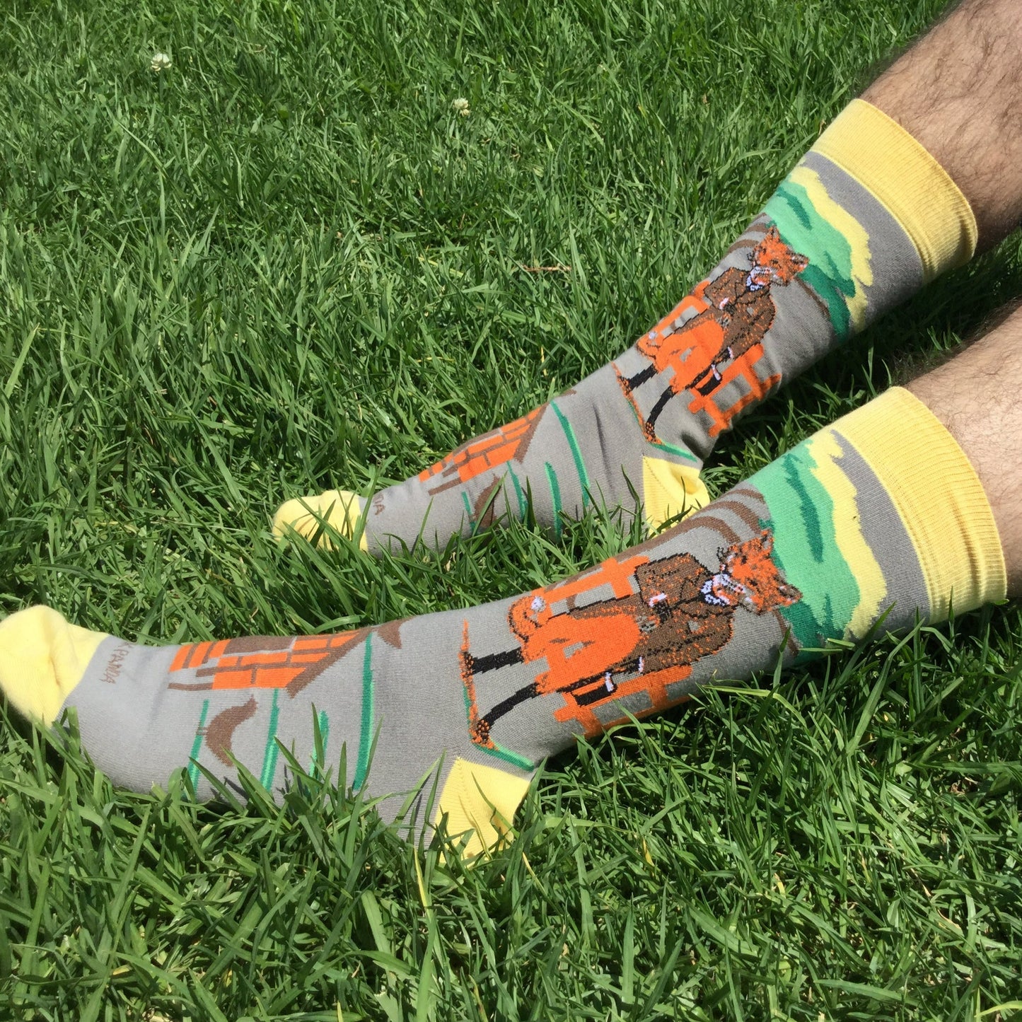 Fox Guarding the Henhouse Socks - Sock Panda