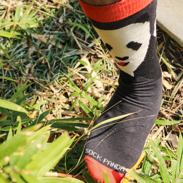 The Great Panda Socks from the Sock Panda