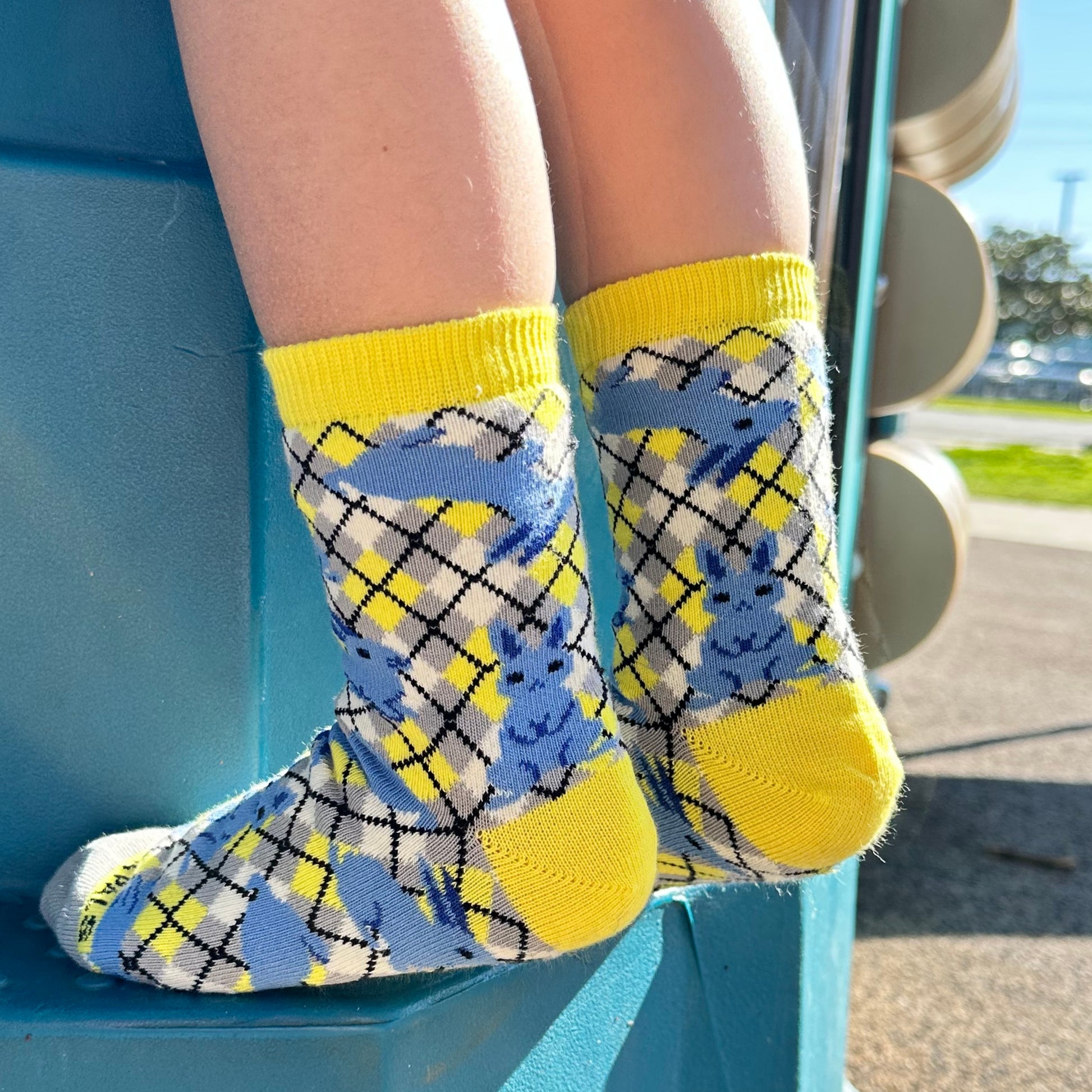 Bunny Rabbit Pattern Socks from the Sock Panda (Ages 3-7)