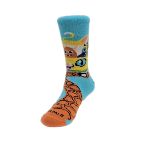 Monster Bus Socks from the Sock Panda (Ages 3-7)