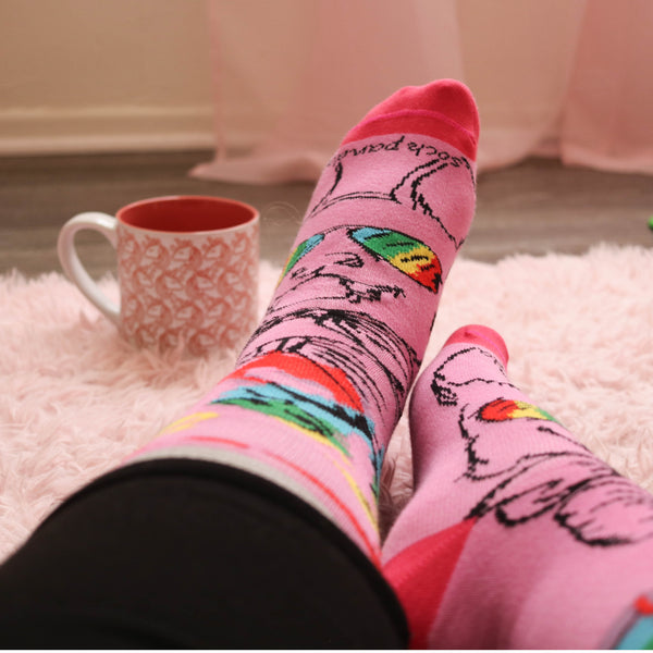 Pink Reflective Rainbow Dog Socks