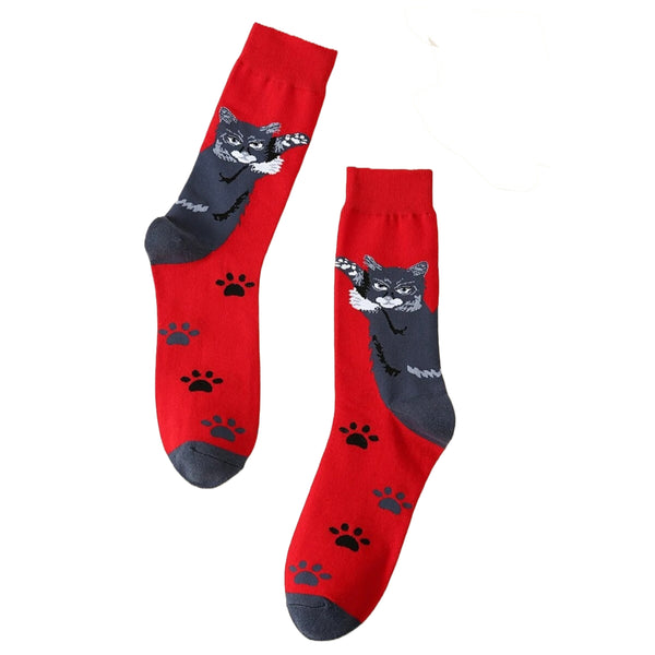 Cool Cat Socks from the Sock Panda (Adult Large)