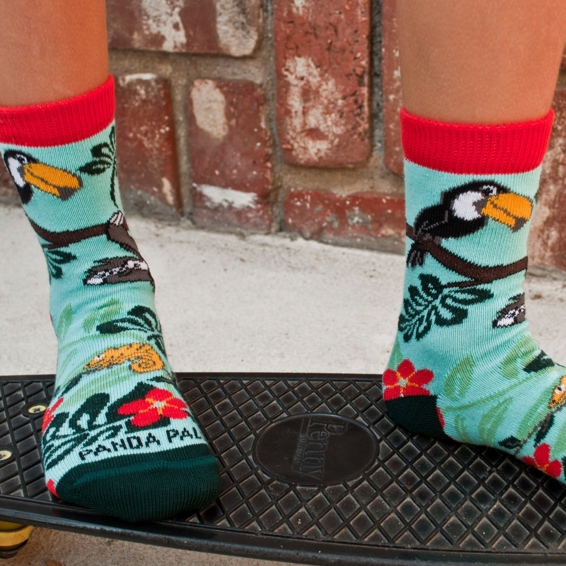 Sloth and the Forest Friend Socks (Ages 3-7)