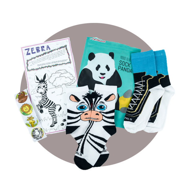 Panda Pals Kids Sock Subscription (Ages 3-7)