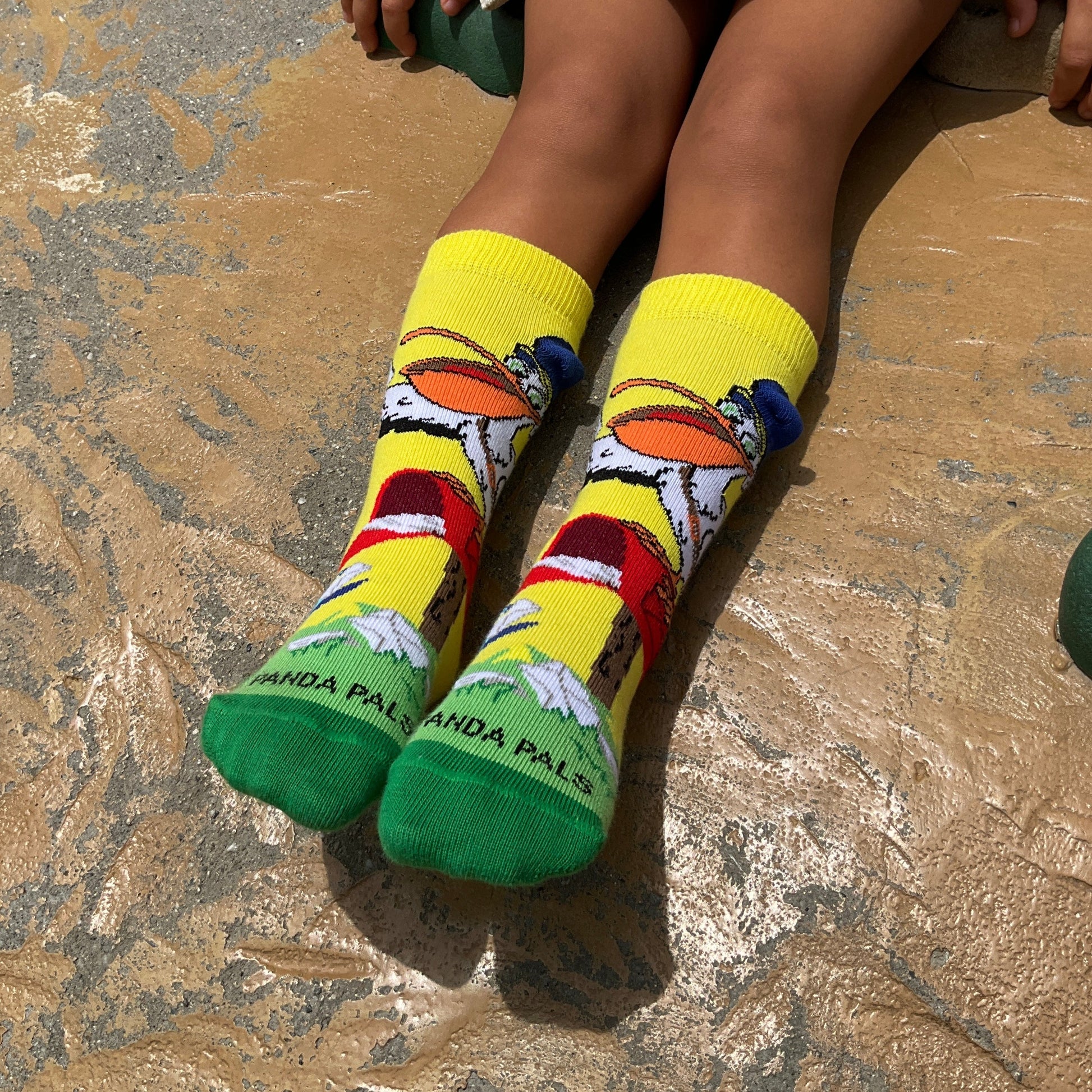 Pelican Mail Carrier Socks (Ages 3-7) from the Sock Panda