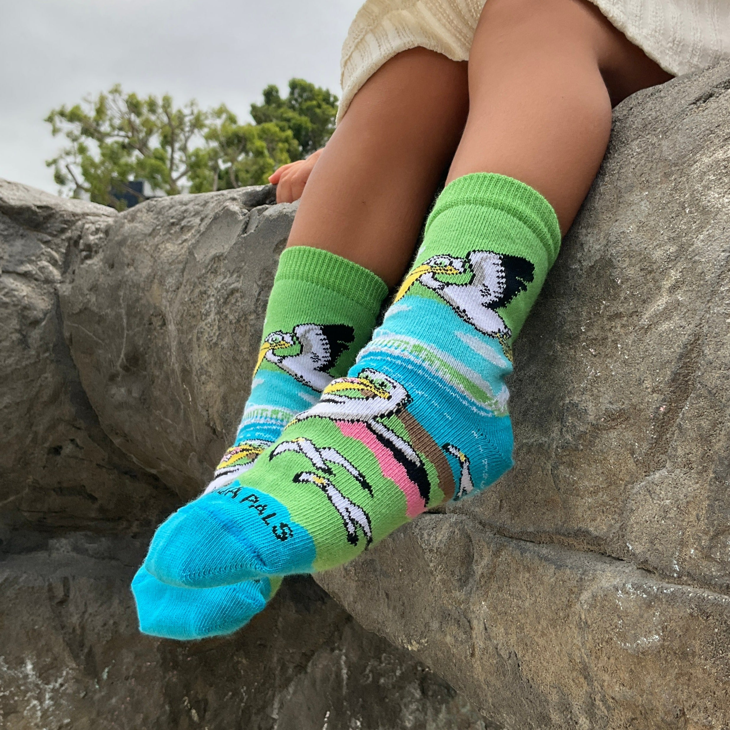 Pelican Socks from the Sock Panda (Set of Two) (Ages 3-7)
