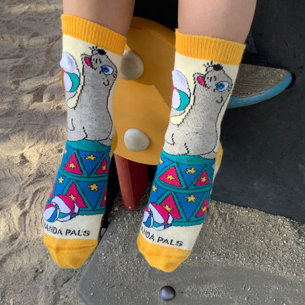 Curious Sea Lion Socks from the Sock Panda (Ages 3-7)