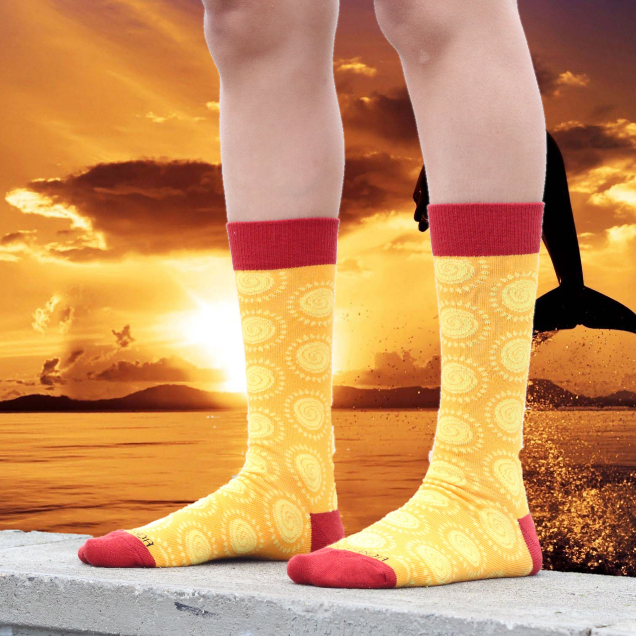 Celestial Sun Pattern Socks from the Sock Panda