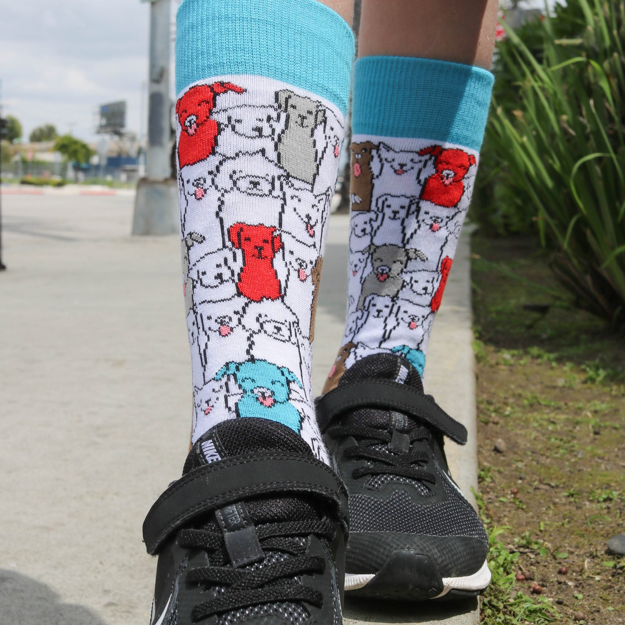 Colorful Surprise Dog Pattern Socks (Adult Small - Shoe Sizes 2-5)