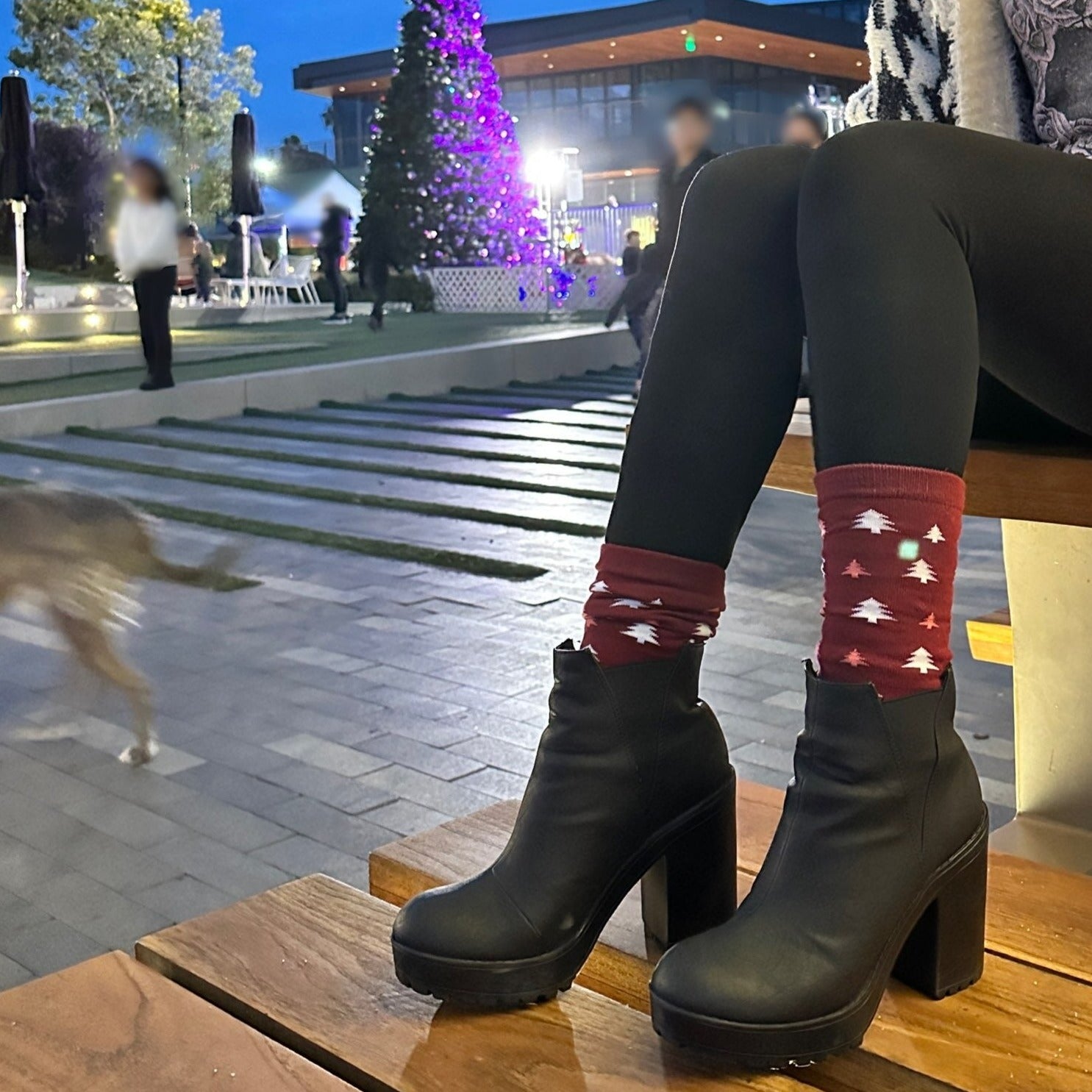 Winter Holiday Tree Patterned Socks from the Sock Panda