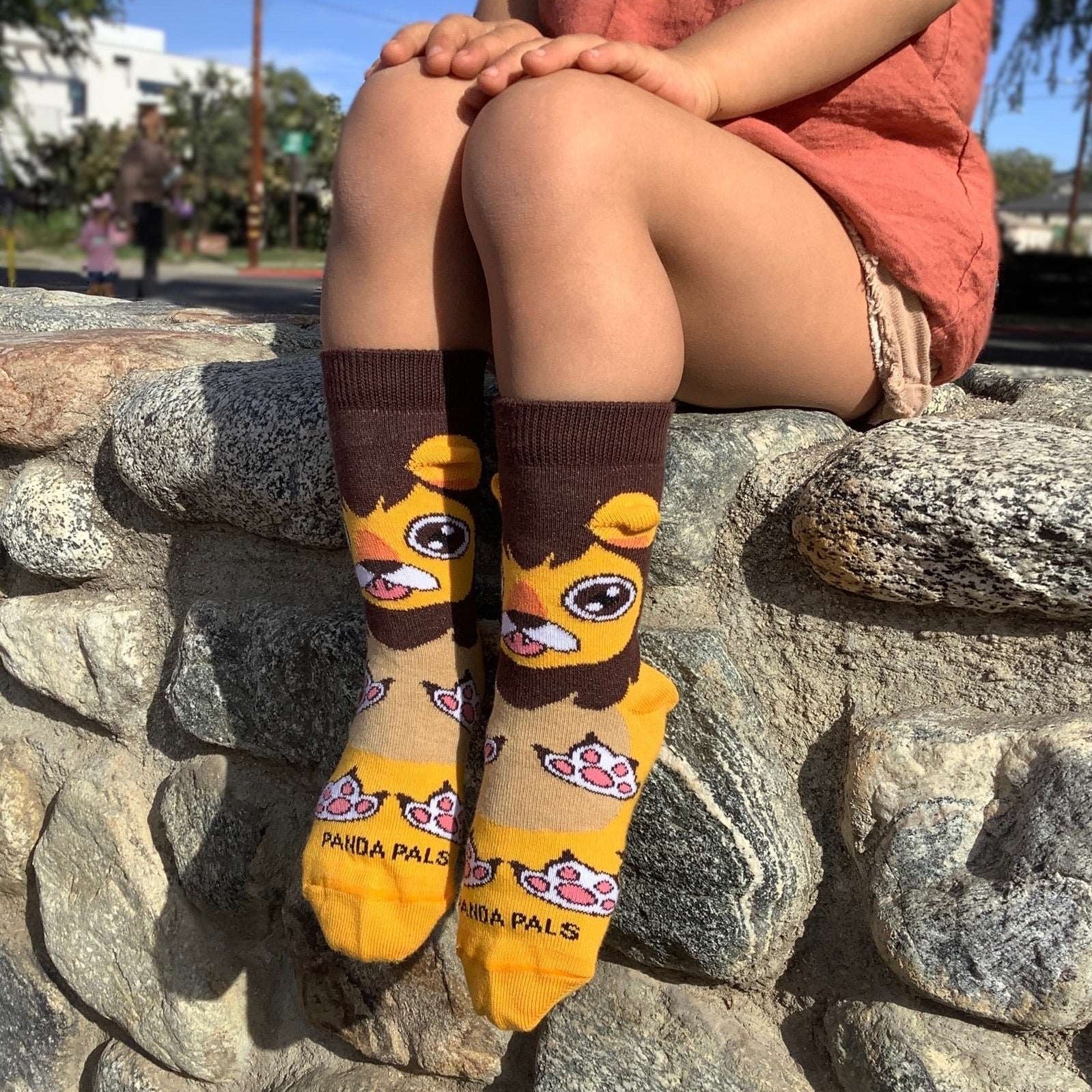 A Happy Lion Sock (Ages 3 - 7) from the Sock Panda