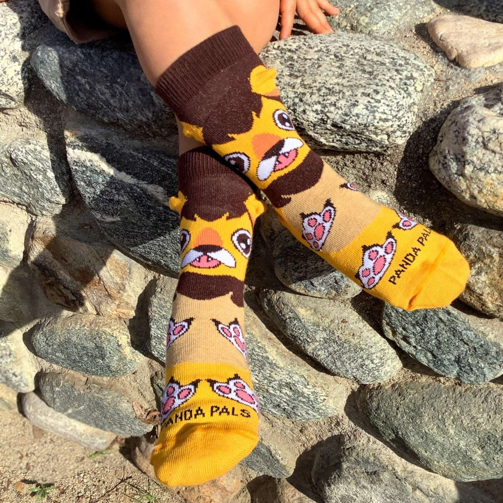 A Happy Lion Sock (Ages 3 - 7) from the Sock Panda