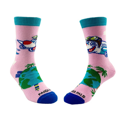 Airplane Socks from the Sock Panda (Ages 3 - 7)
