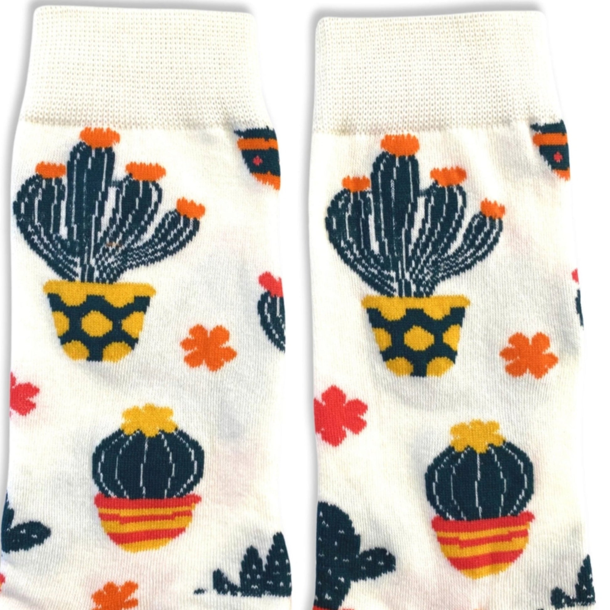 Cactus Pattern Socks (Adult Medium - Women's Shoe Sizes 5-10)
