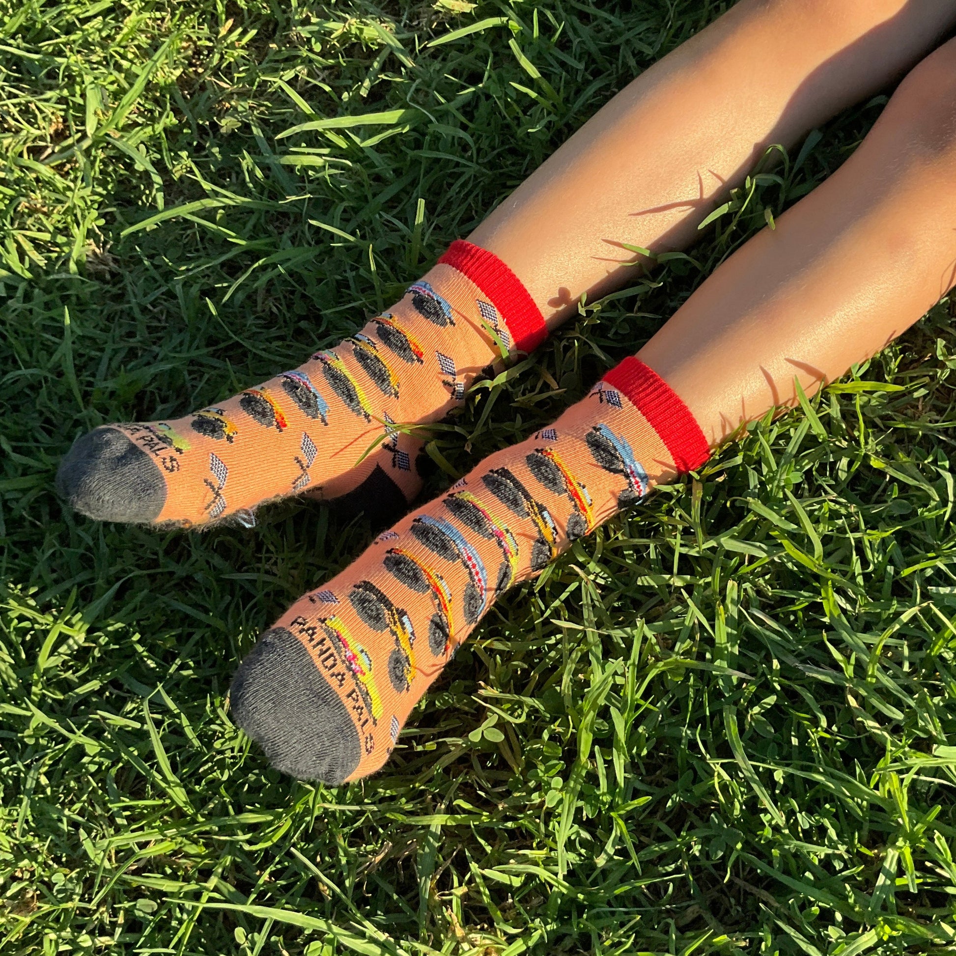 Monster Truck Patterns Socks (Ages 3-5) from Sock Panda