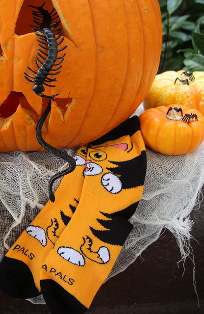 The Curious Orange Cat Socks from the Sock Panda (Ages 3-7)