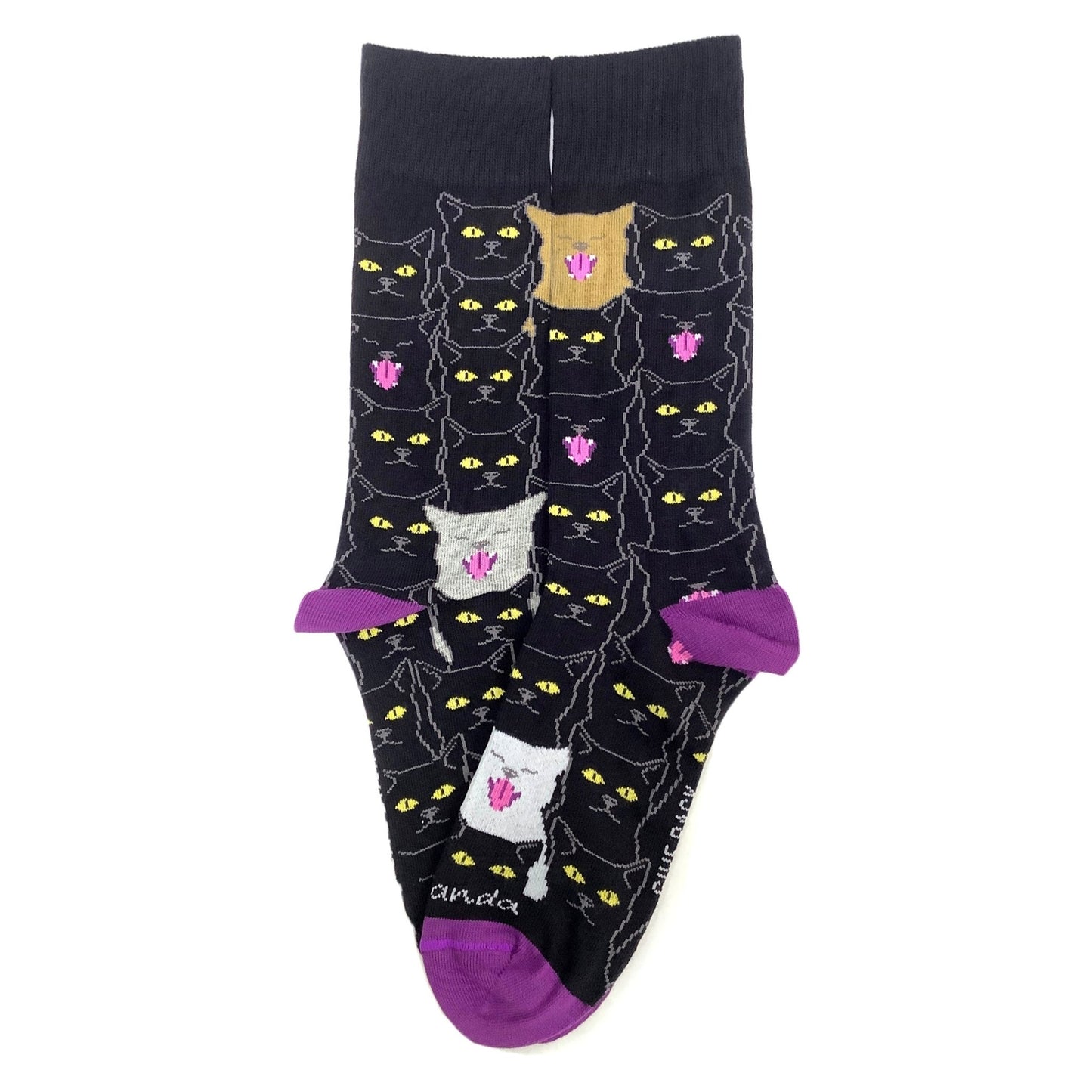 Cool Black Cat Pattern Socks from the Socks Panda (Adult Medium)