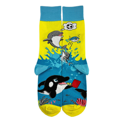 Dolphins and Soccer Socks from the Sock Panda (Adult Large - Men's Shoe Sizes 8 - 12)