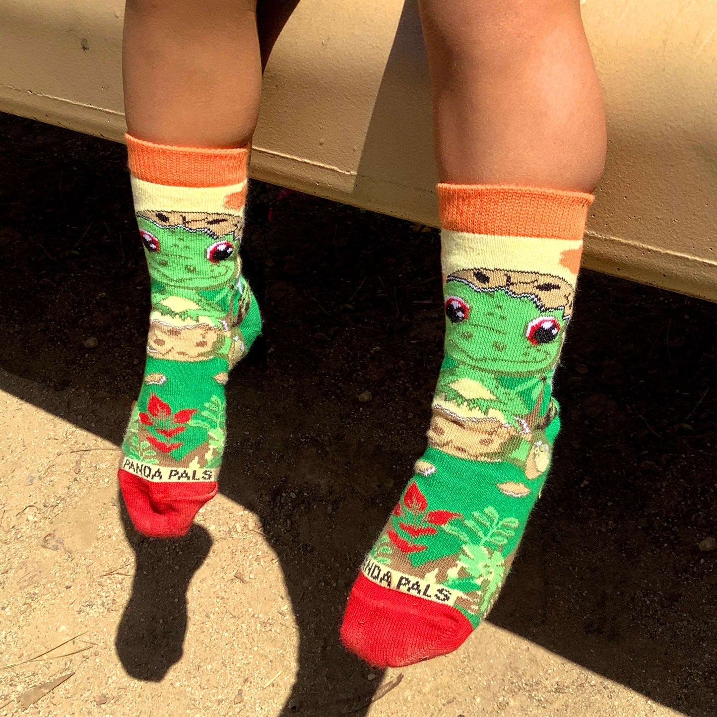 Egg Shell Baby Dinosaur Socks (Ages 3 - 7) from the Sock Panda