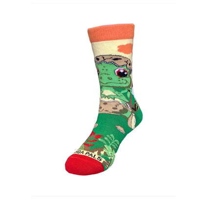Egg Shell Baby Dinosaur Socks (Ages 3 - 7) from the Sock Panda