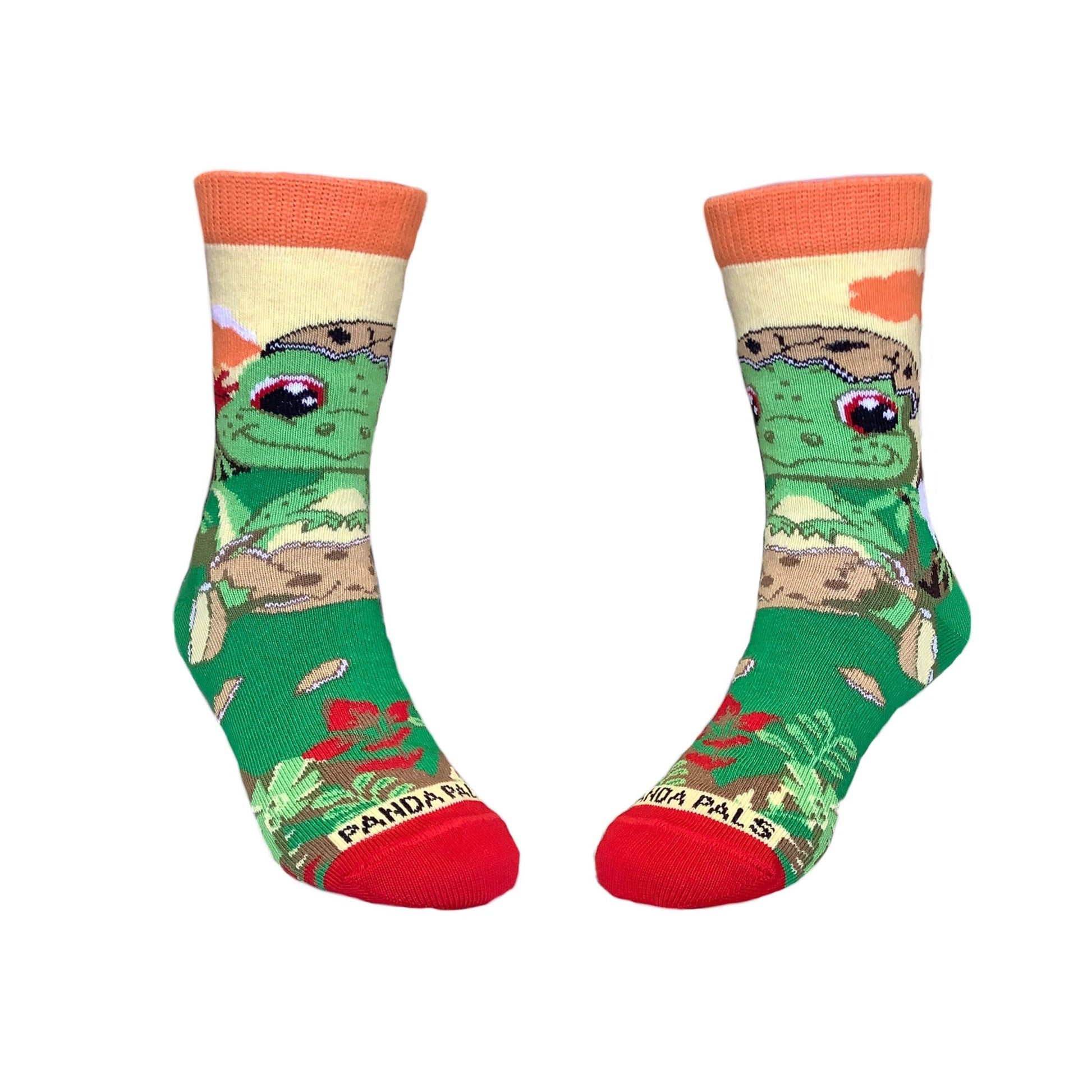 Egg Shell Baby Dinosaur Socks (Ages 3 - 7) from the Sock Panda