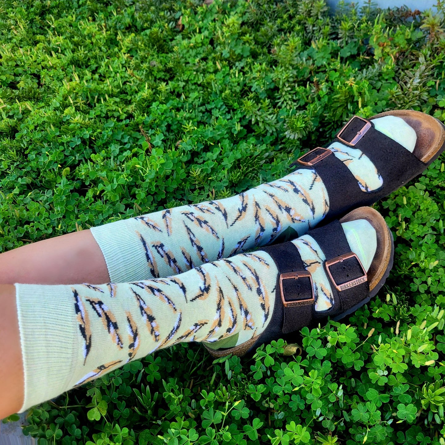 Feather Pattern Socks from the Sock Panda (Adult Medium - Women's Shoe Sizes 5 - 10)