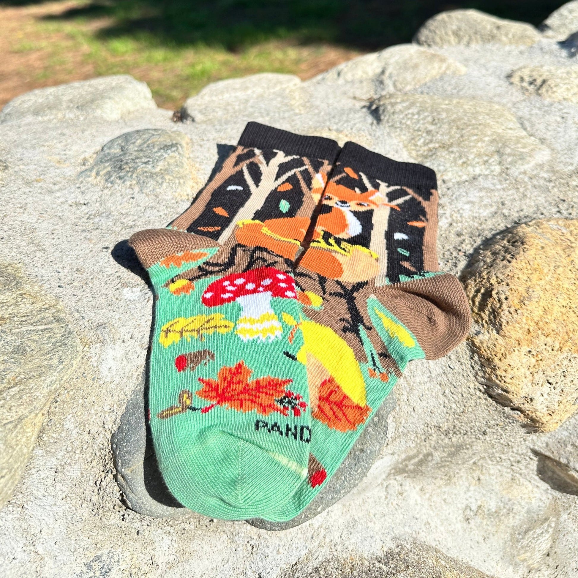 Fox in the Woods Socks from the Sock Panda (Ages 3 - 7)