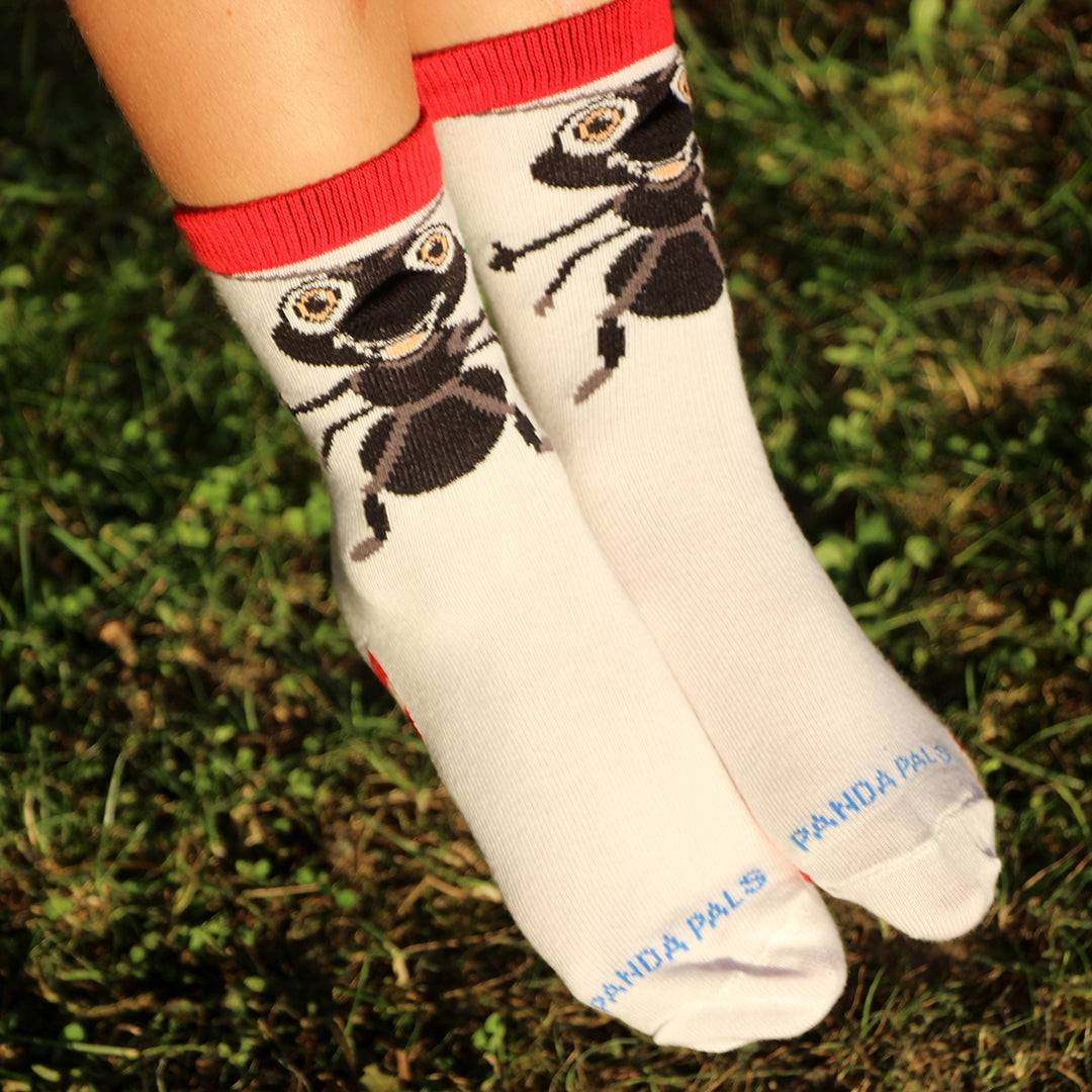 Friendly Ant Socks (Age 3 - 5)