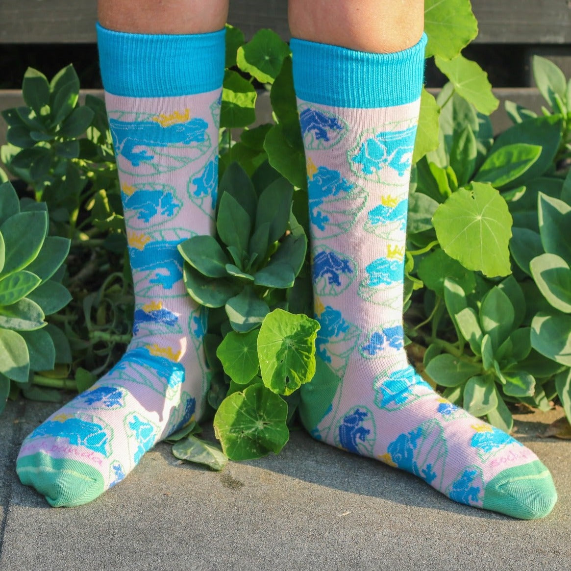 Frogs on a Lily Pad Socks (Frog Prince Fairy Tale) from the Sock Panda