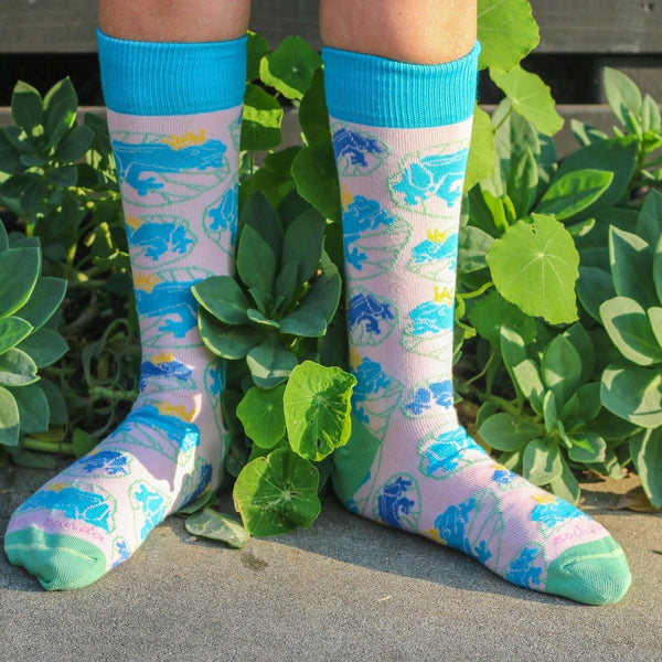 The Frog Prince Fairy Tale Set of Socks from the Sock Panda (Two Pack)