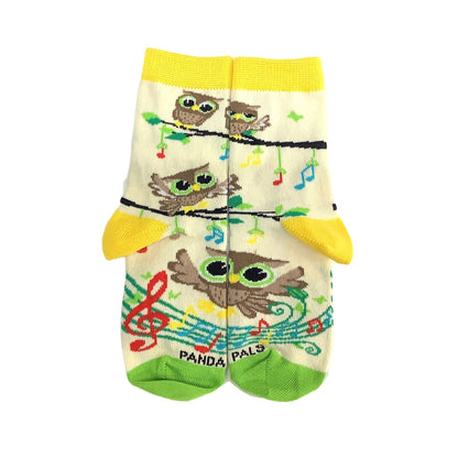 Owls Chorus Music Notes Socks (Ages 3 - 7) from the Sock Panda
