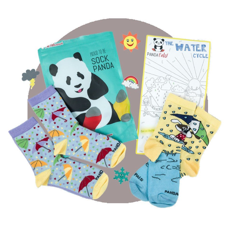 Panda Pals Kids Sock Subscription (Ages 3 - 7) Small/Girls/1