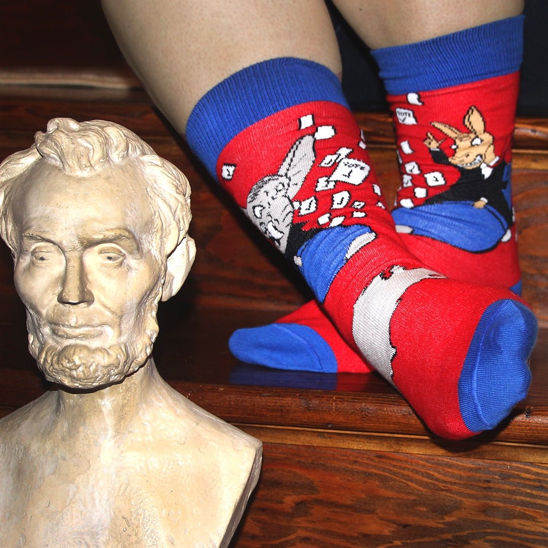 Political Humor Socks (Left vs. Right) from the Sock Panda