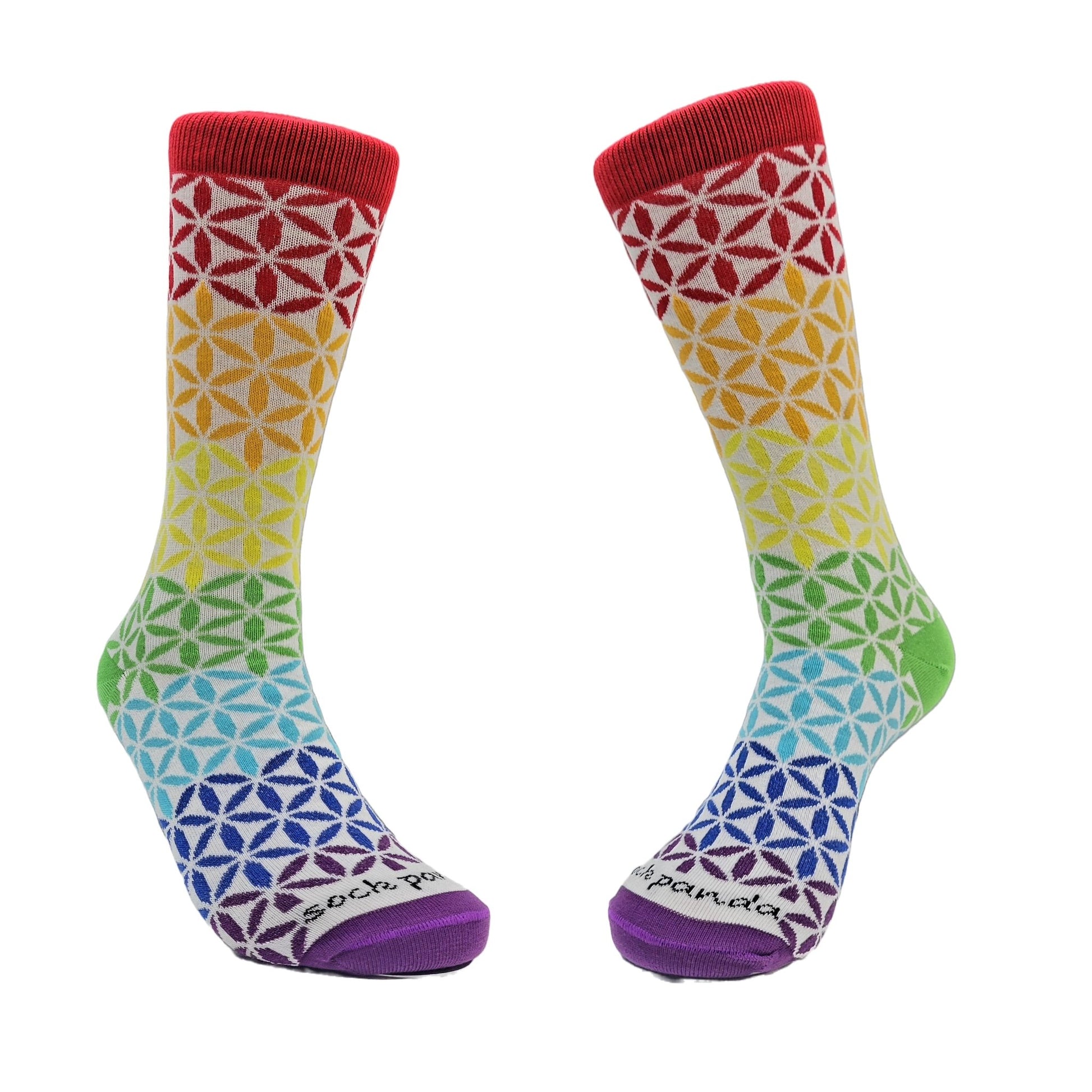 Rainbow Flower Pattern Socks from the Sock Panda (Adult Medium - Women's Shoe Sizes 5 - 10)