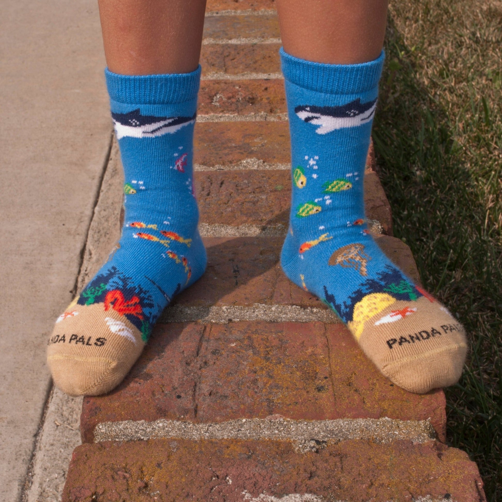 Shark in the Ocean Socks (Ages 3 - 7)