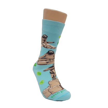 Sloths Performing Yoga Socks from the Sock Panda (Adult Medium - Women's Shoe Sizes 5 - 10)