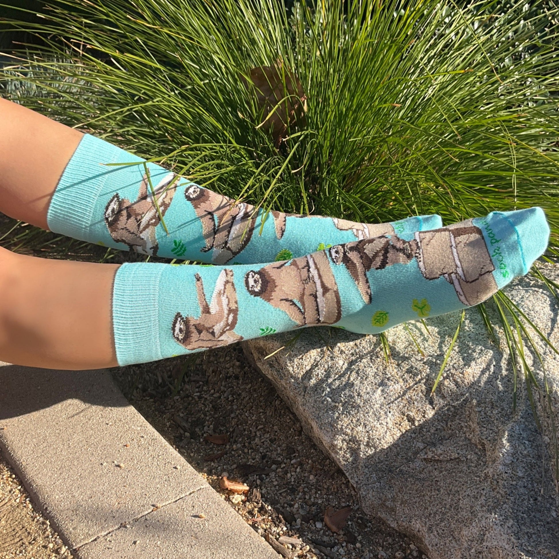 Sloths Performing Yoga Socks from the Sock Panda (Adult Medium - Women's Shoe Sizes 5 - 10)