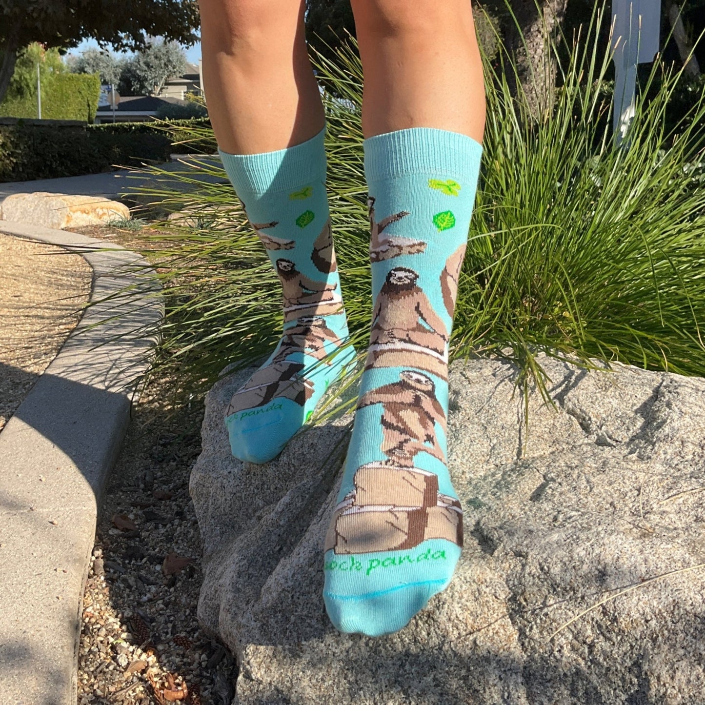 Sloths Performing Yoga Socks from the Sock Panda (Adult Medium - Women's Shoe Sizes 5 - 10)