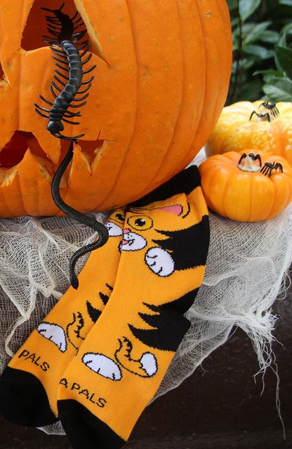 The Curious Orange Cat Socks from the Sock Panda (Ages 3 - 7)