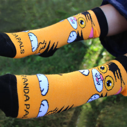 The Curious Orange Cat Socks from the Sock Panda (Ages 3 - 7)