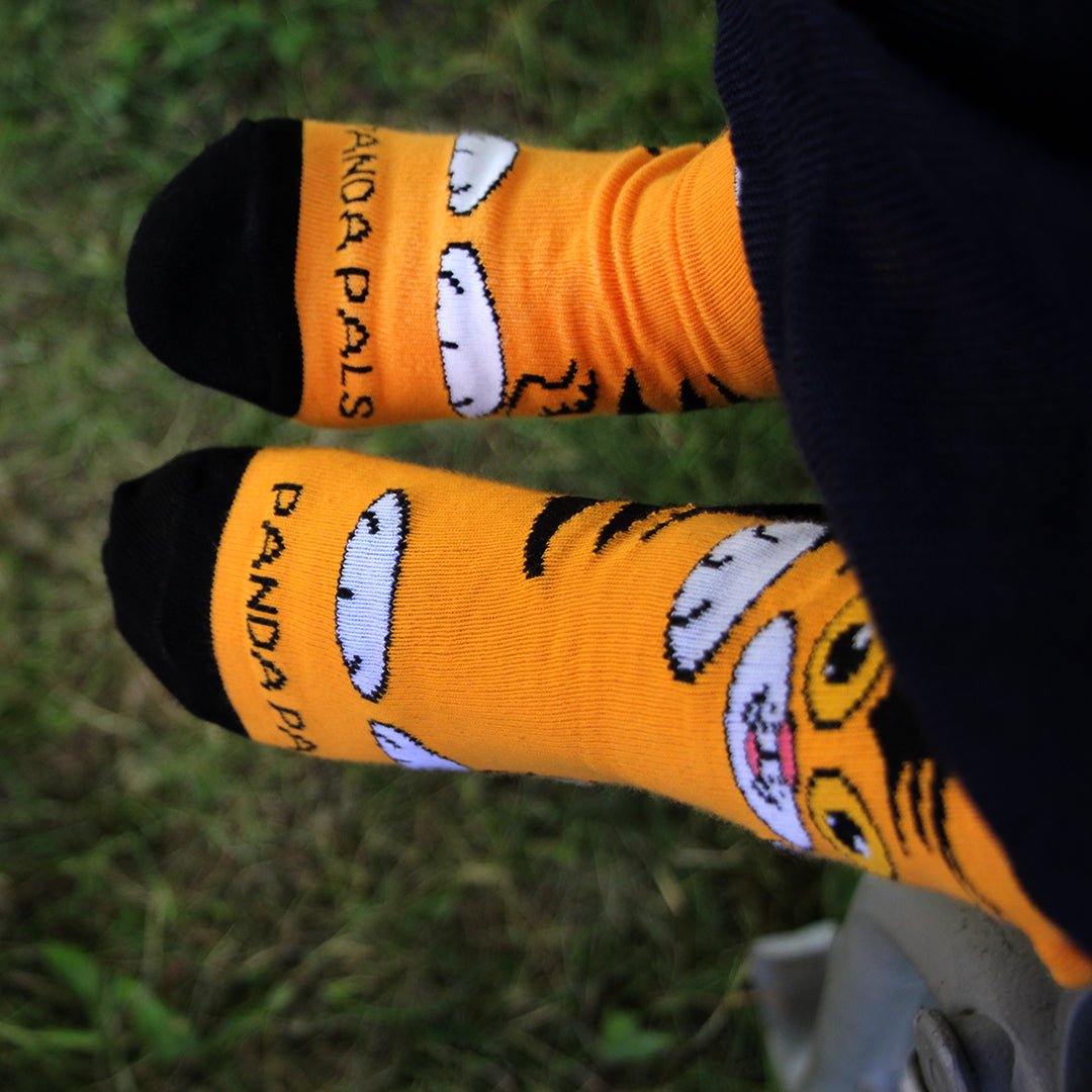 The Curious Orange Cat Socks from the Sock Panda (Ages 3 - 7)